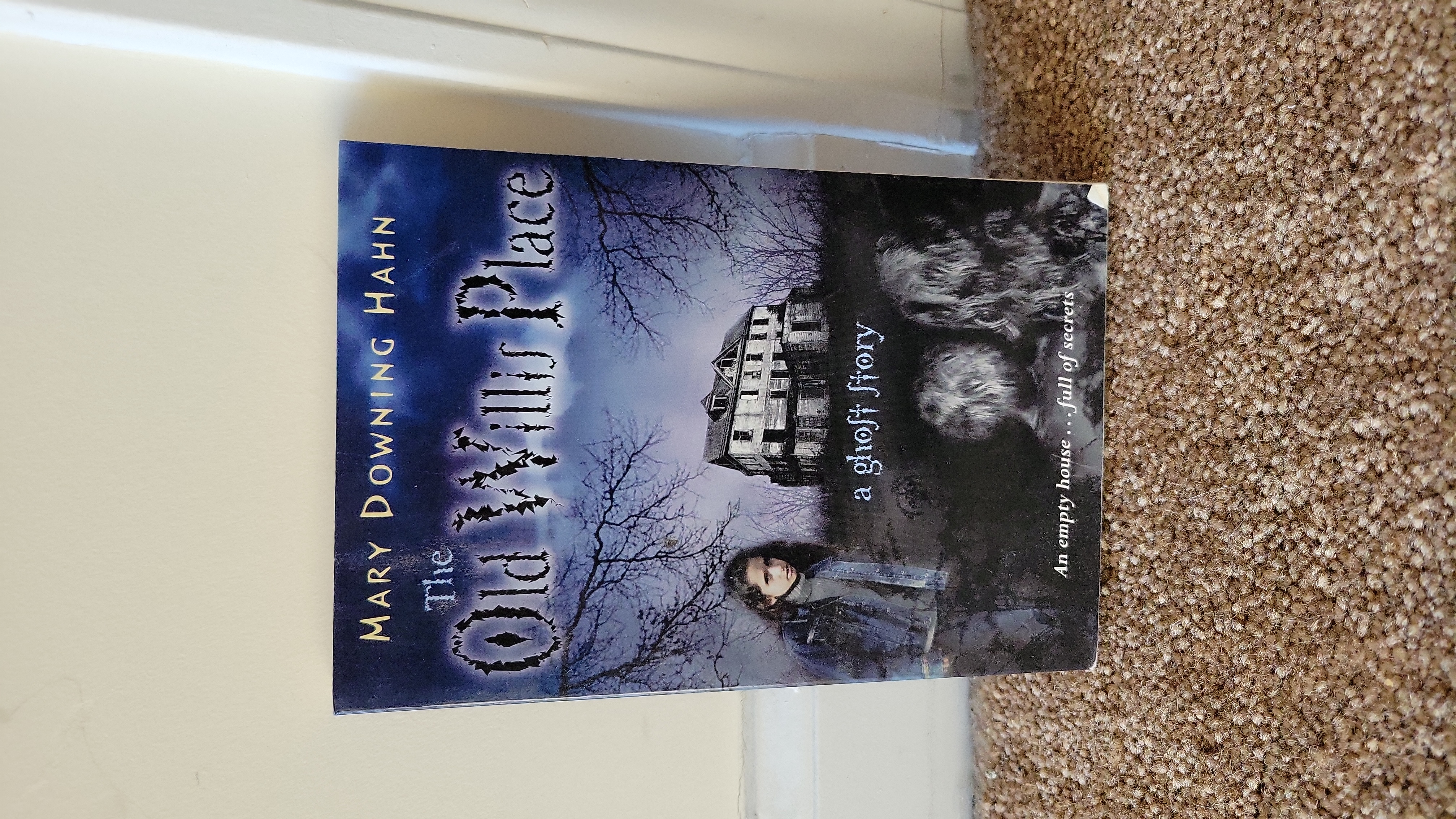 The Old Willis Place