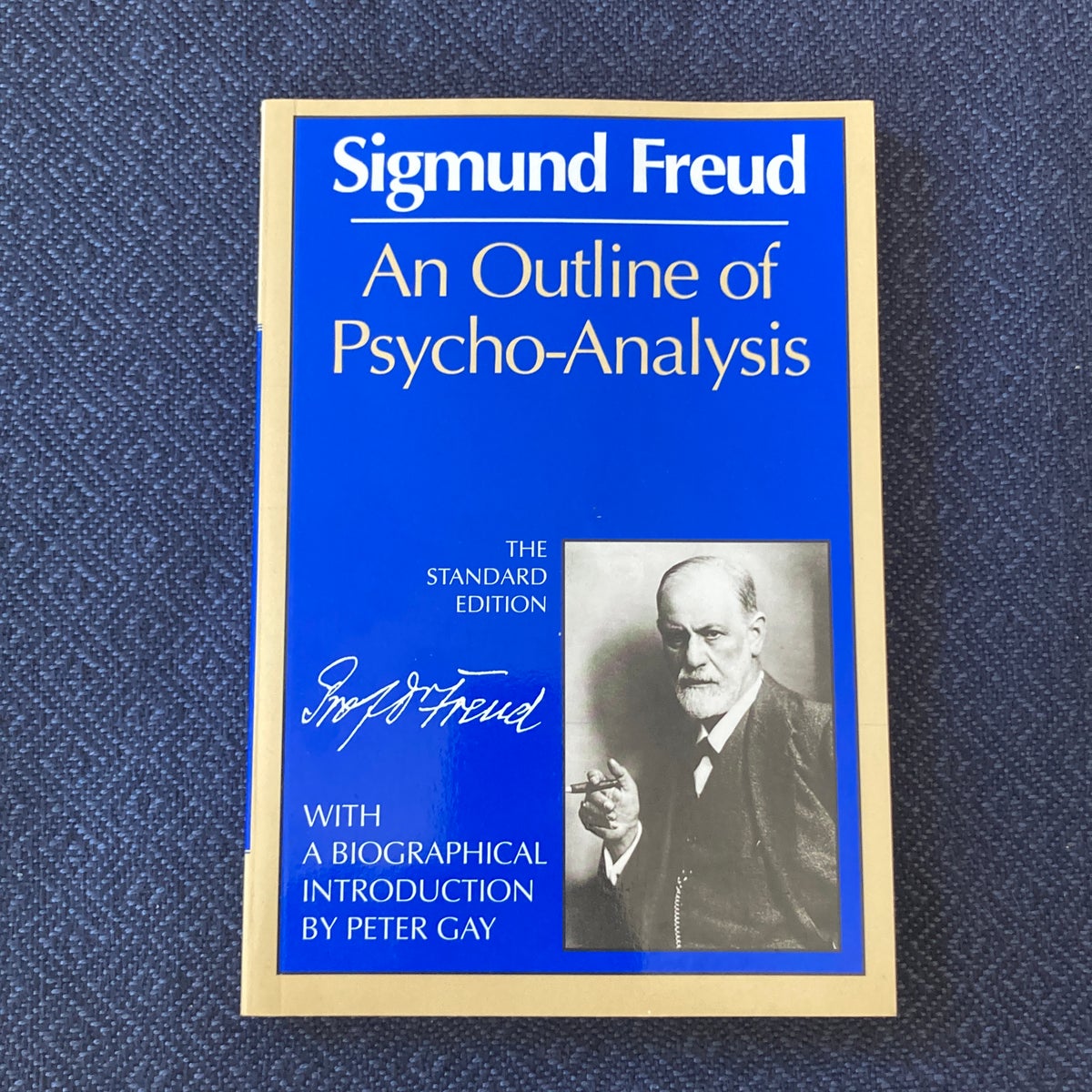 An Outline of Psychoanalysis by Sigmund Freud, Peter Gay