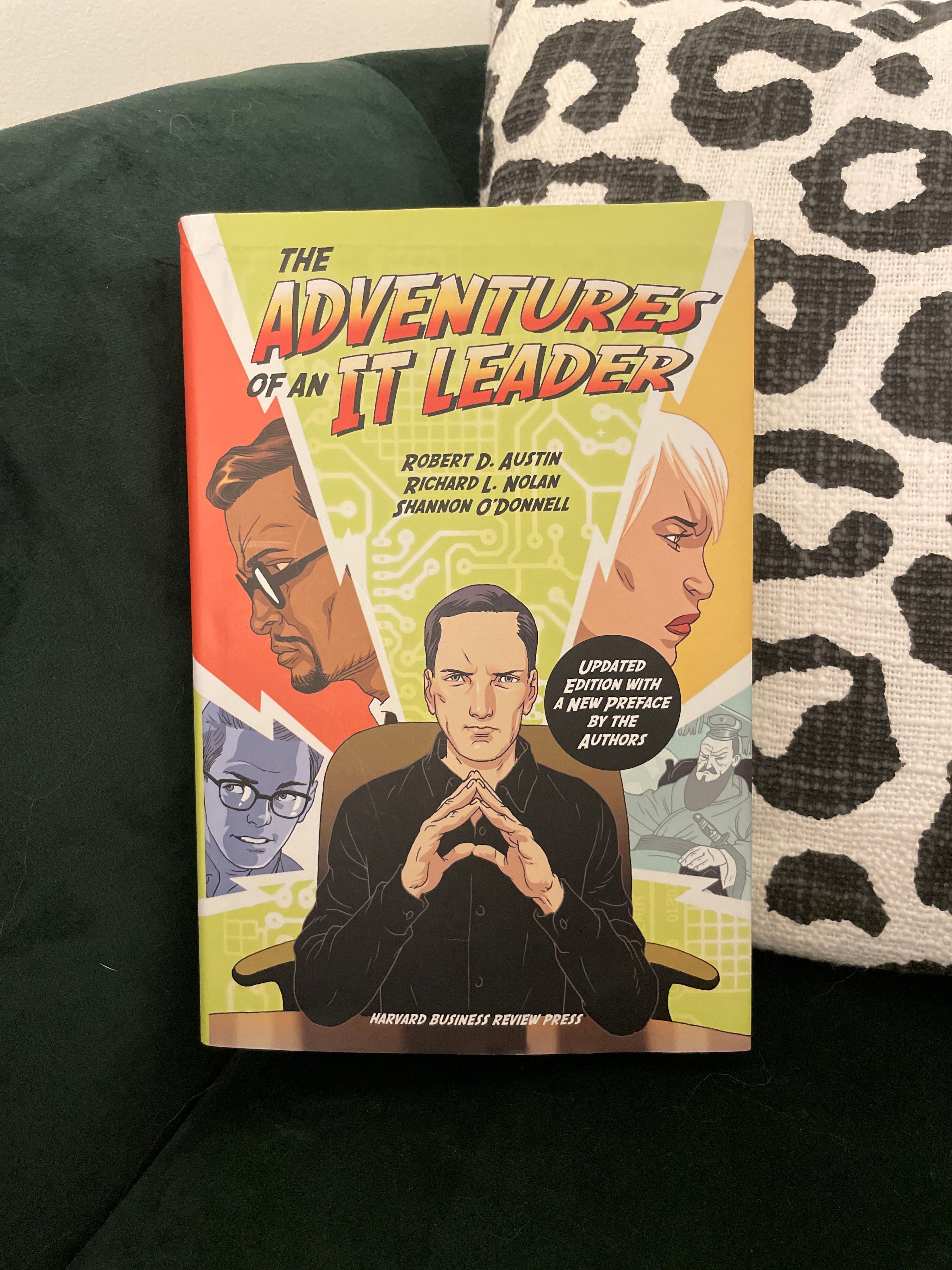 The Adventures of an IT Leader, Updated Edition with a New Preface by the Authors