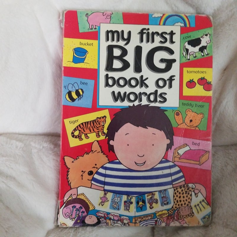 My first Big book of words