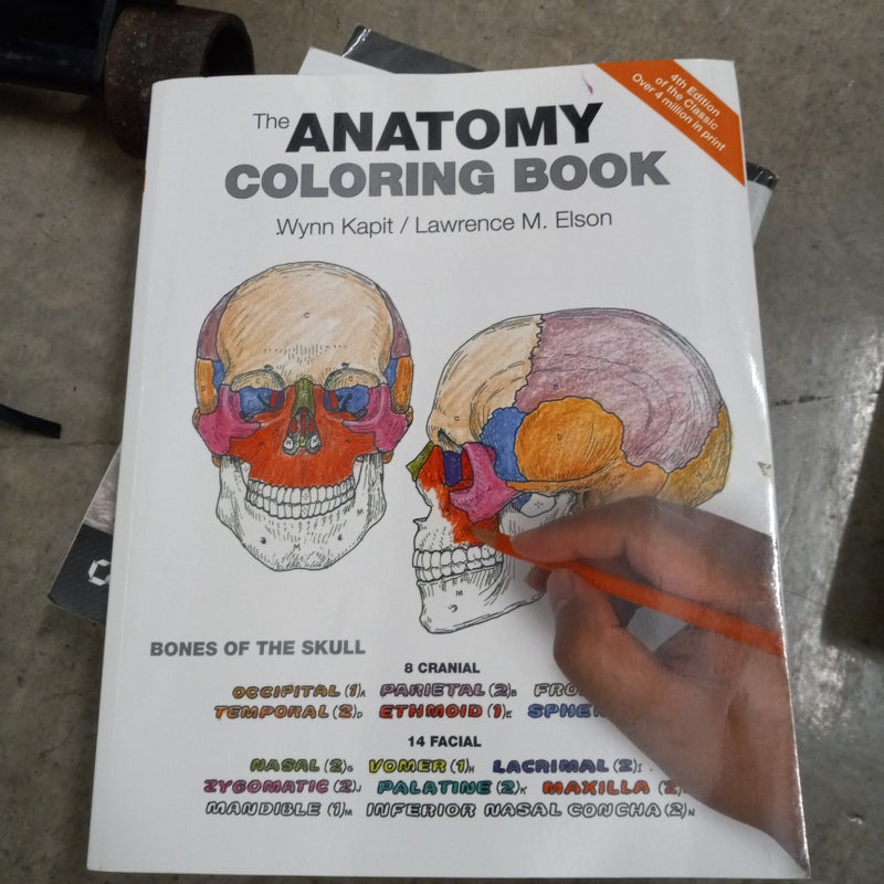 The Anatomy Coloring Book