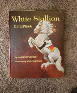 White stallion of lipizza
