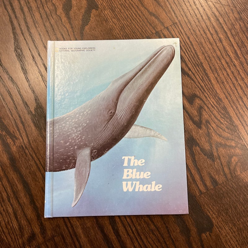 The Blue Whale