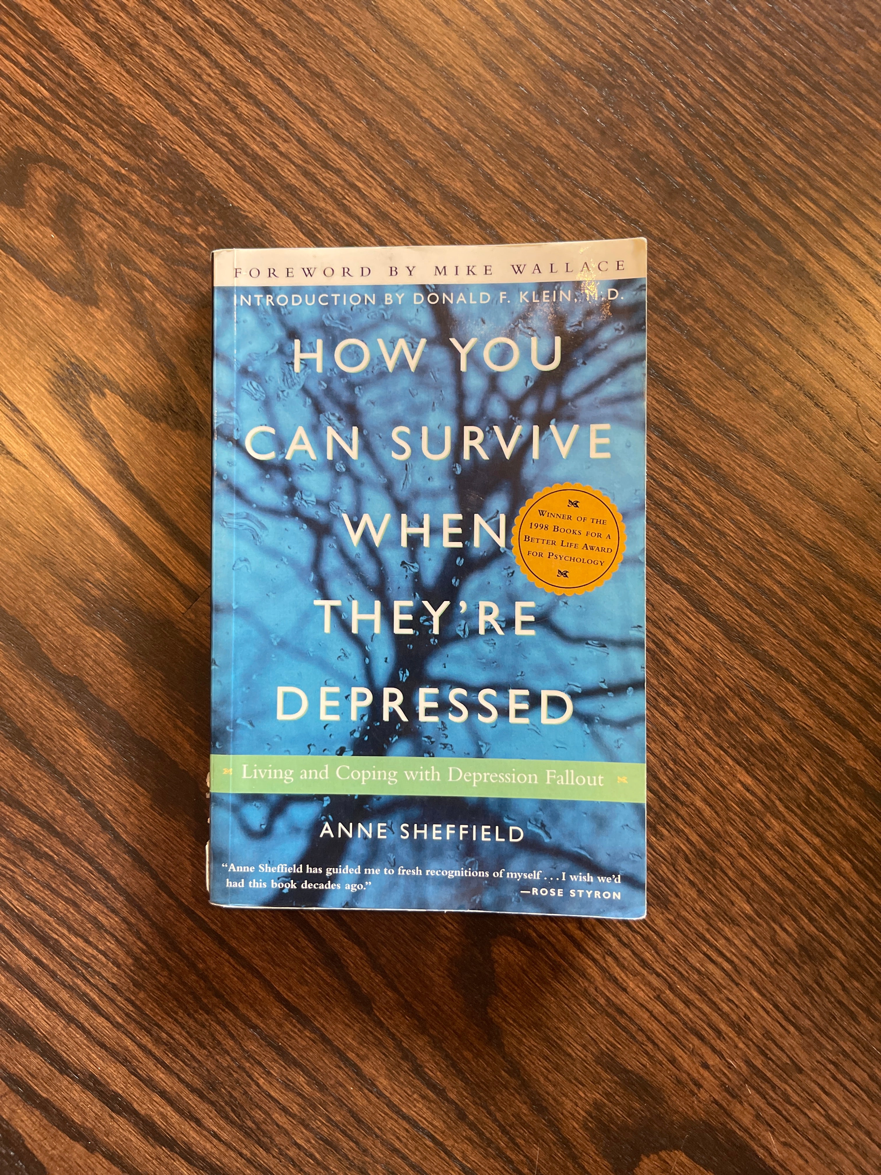 How You Can Survive When They're Depressed