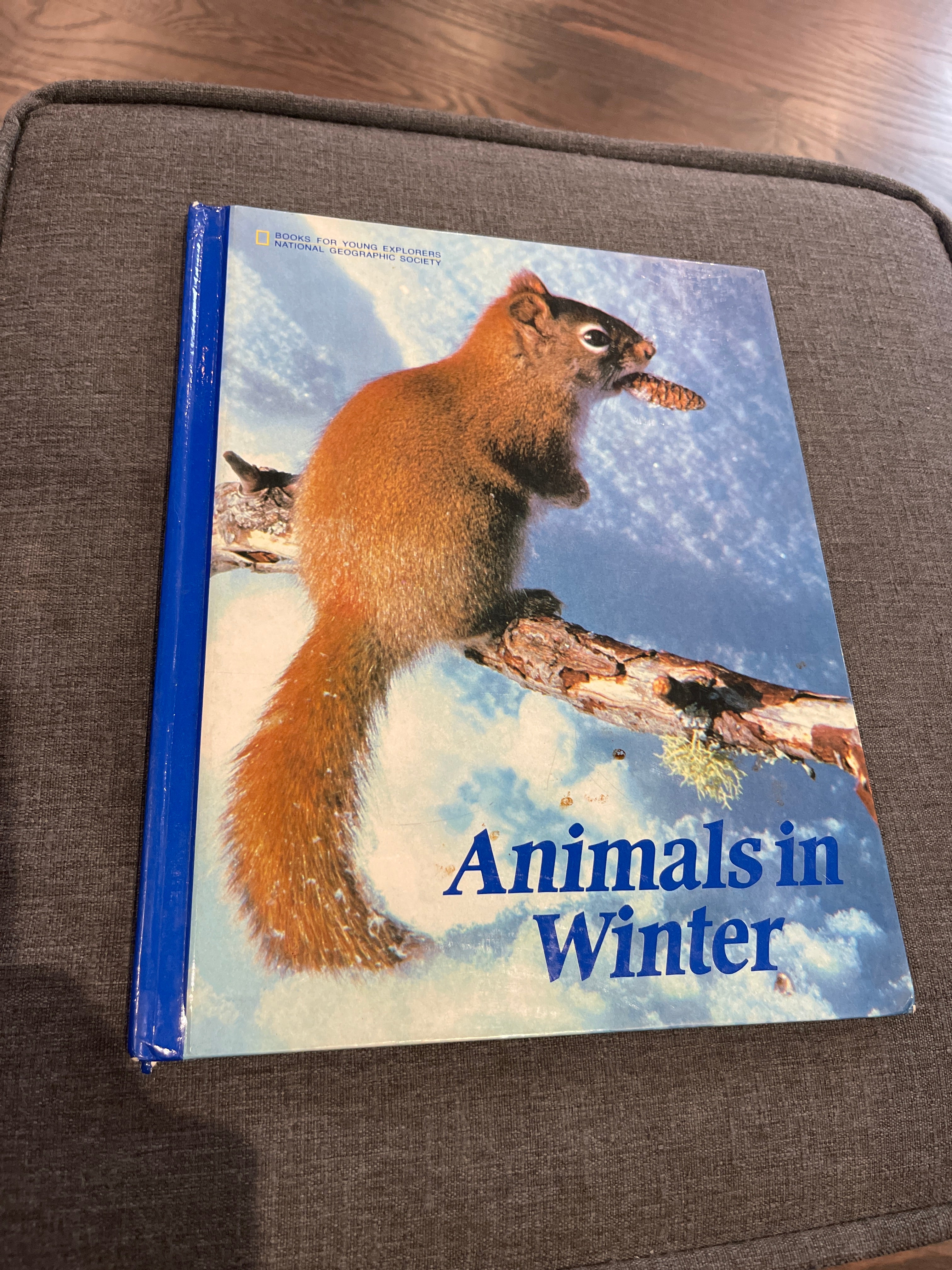 Animals in Winter