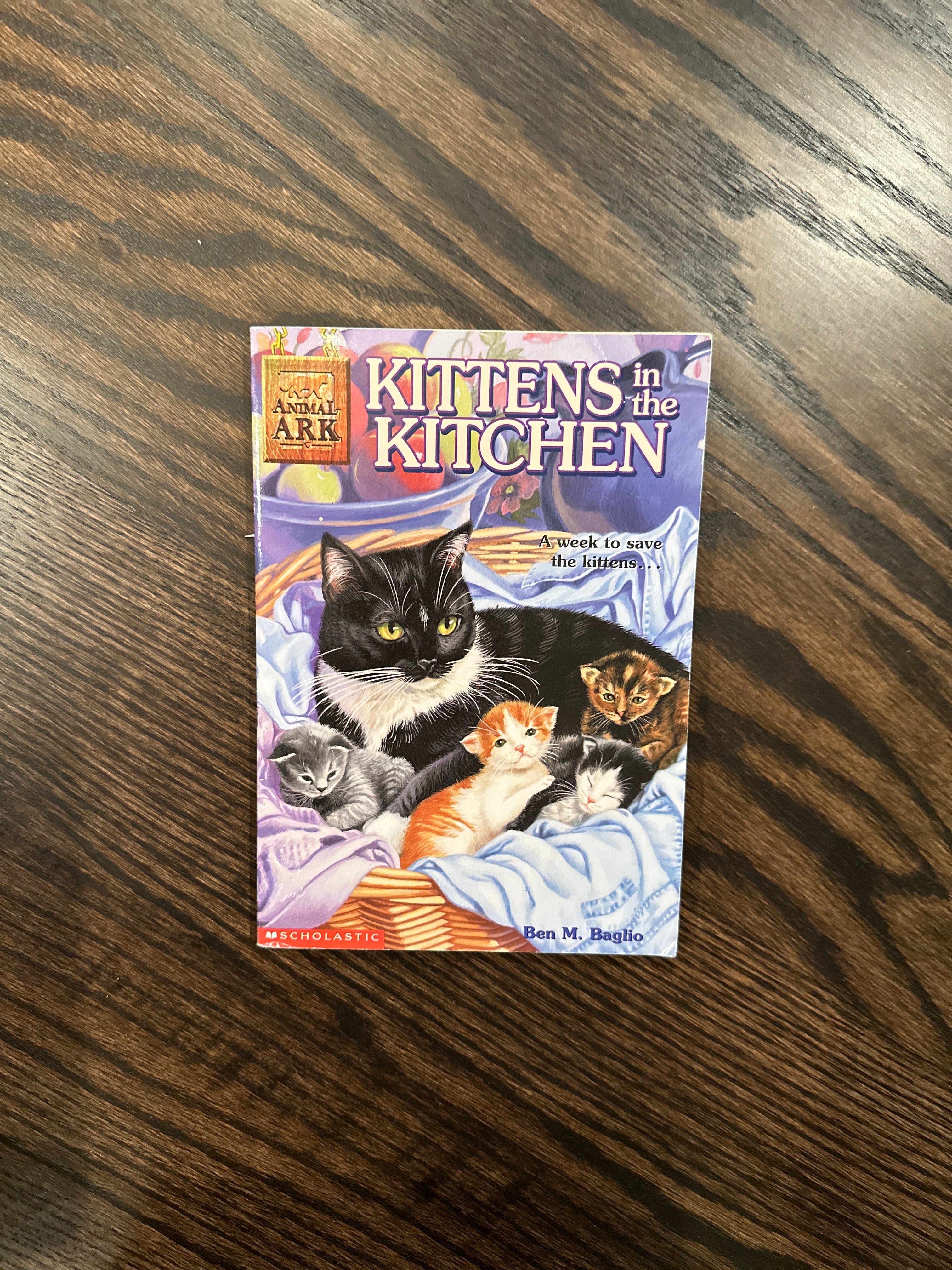 Kittens in the Kitchen