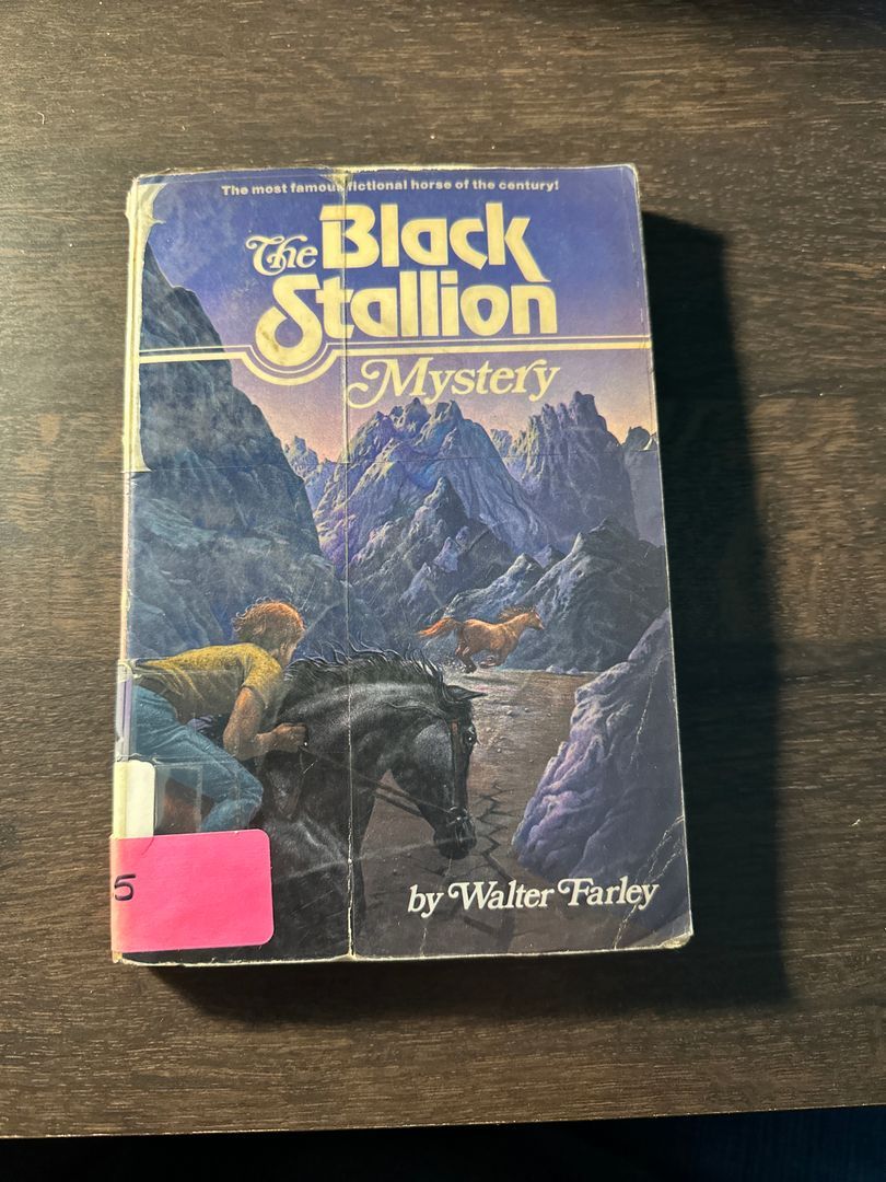 The Black Stallion Mystery