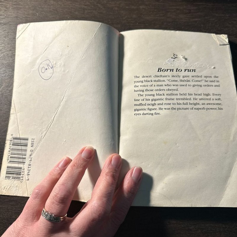 The Young Black Stallion