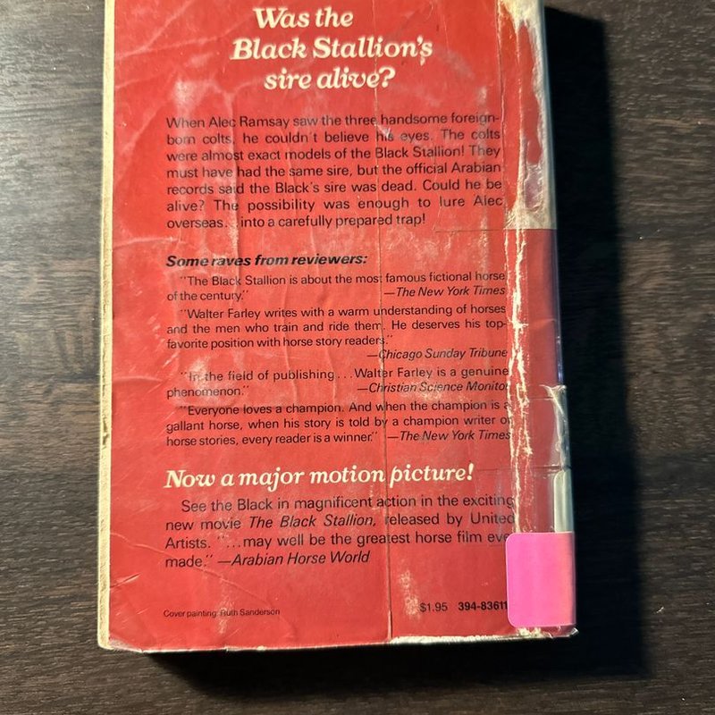 The Black Stallion Mystery