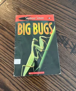 Big Bugs 