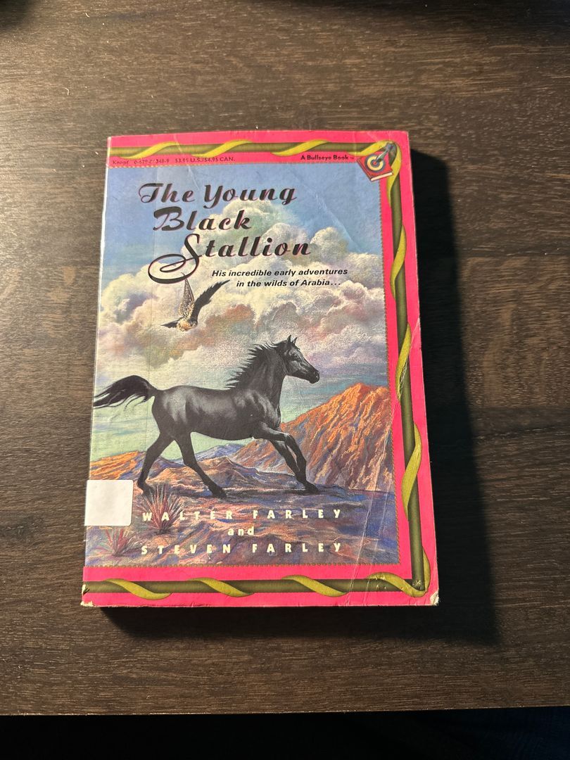 The Young Black Stallion