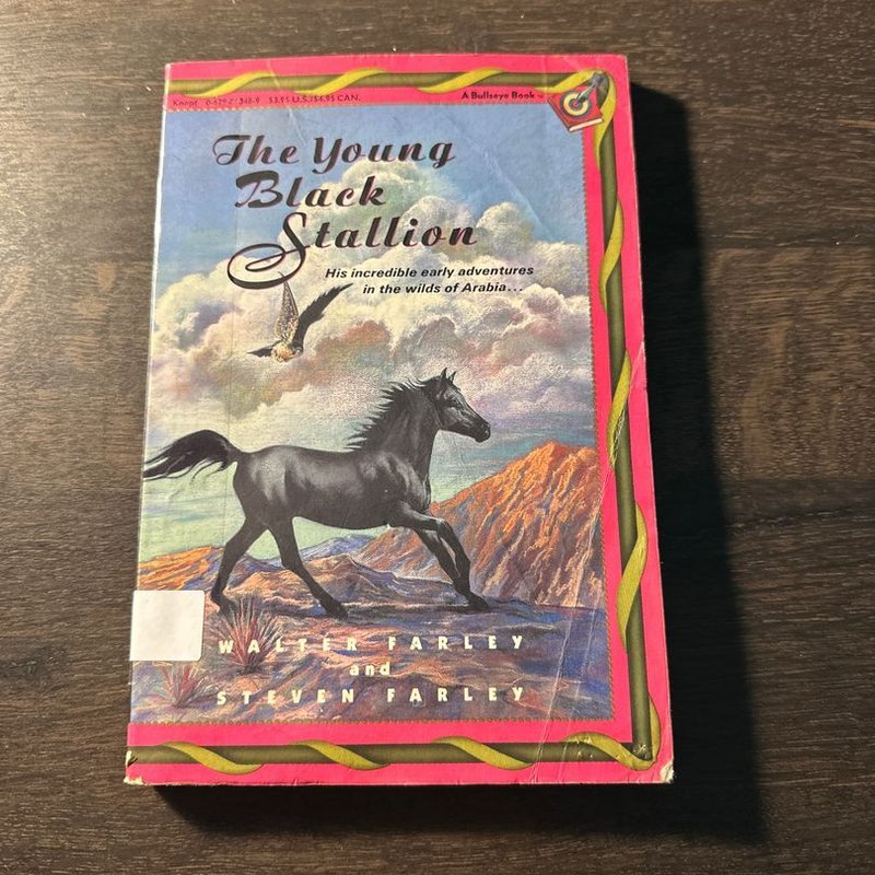 The Young Black Stallion