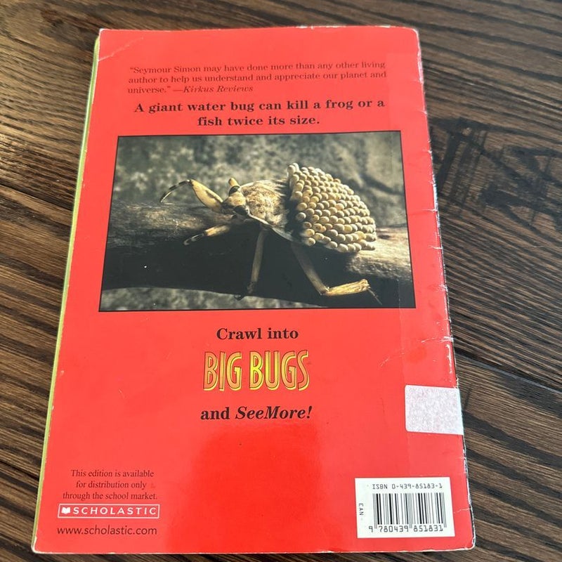 Big Bugs 