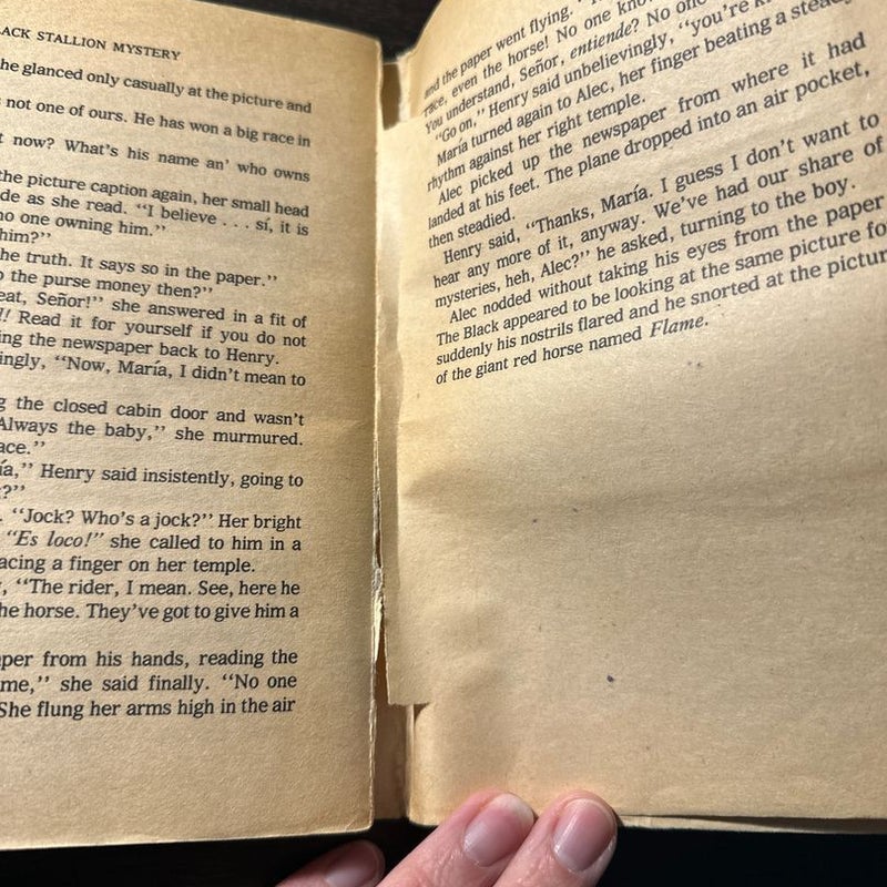 The Black Stallion Mystery