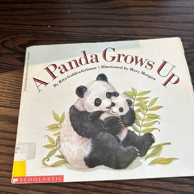 Panda Grows Up