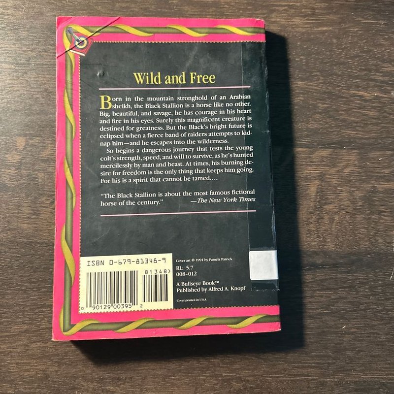 The Young Black Stallion