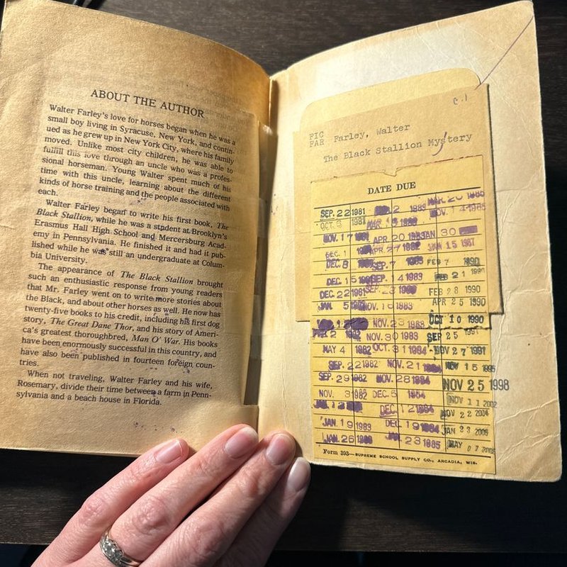 The Black Stallion Mystery