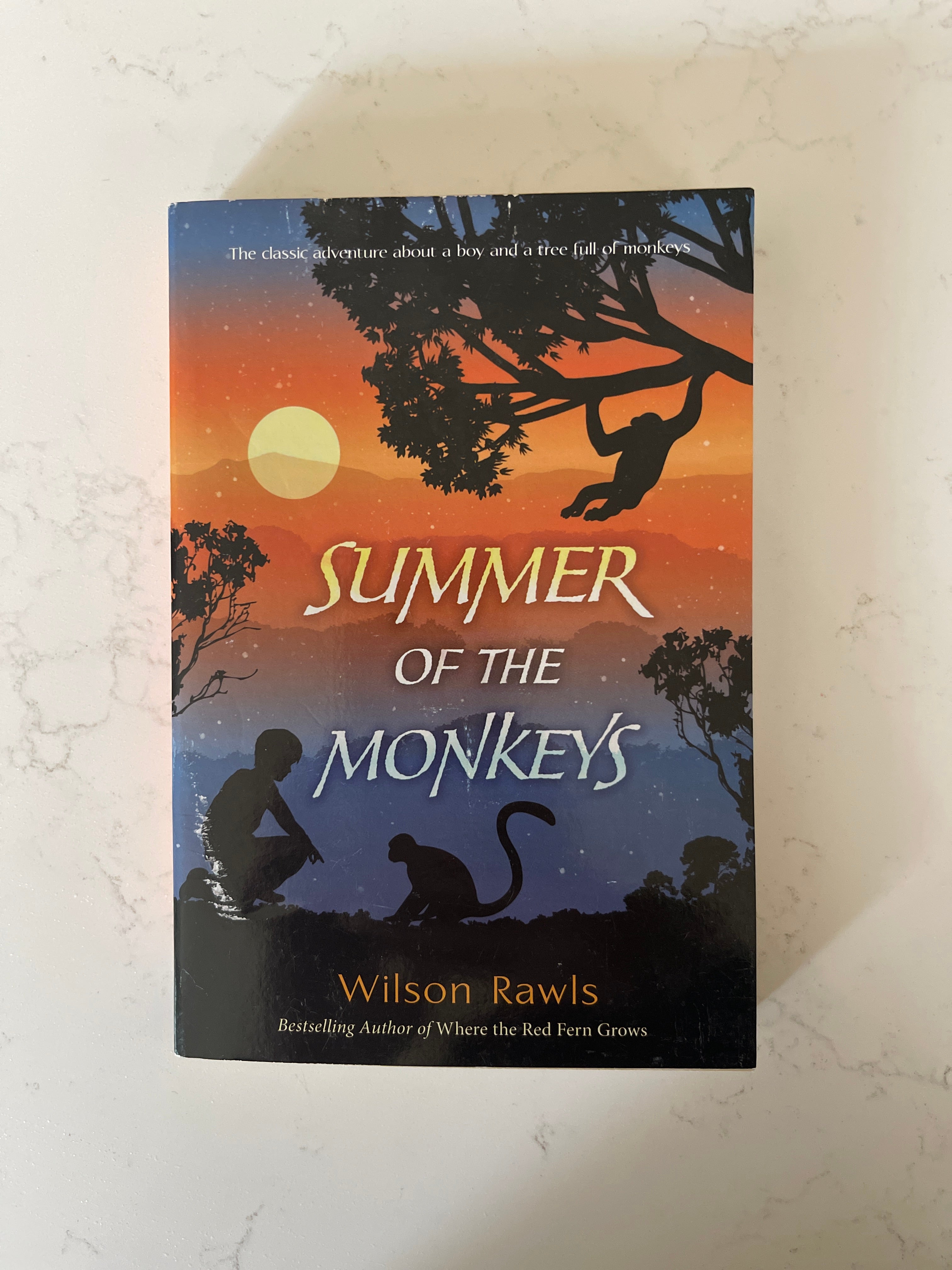 Summer of the Monkeys