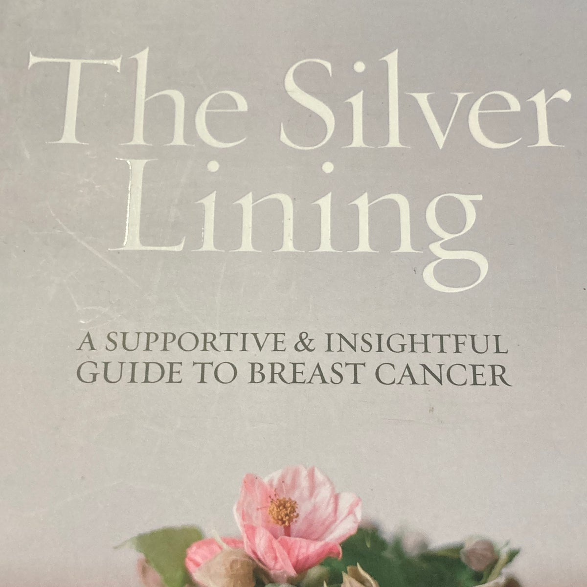 the-silver-lining-by-hollye-jacobs-pangobooks