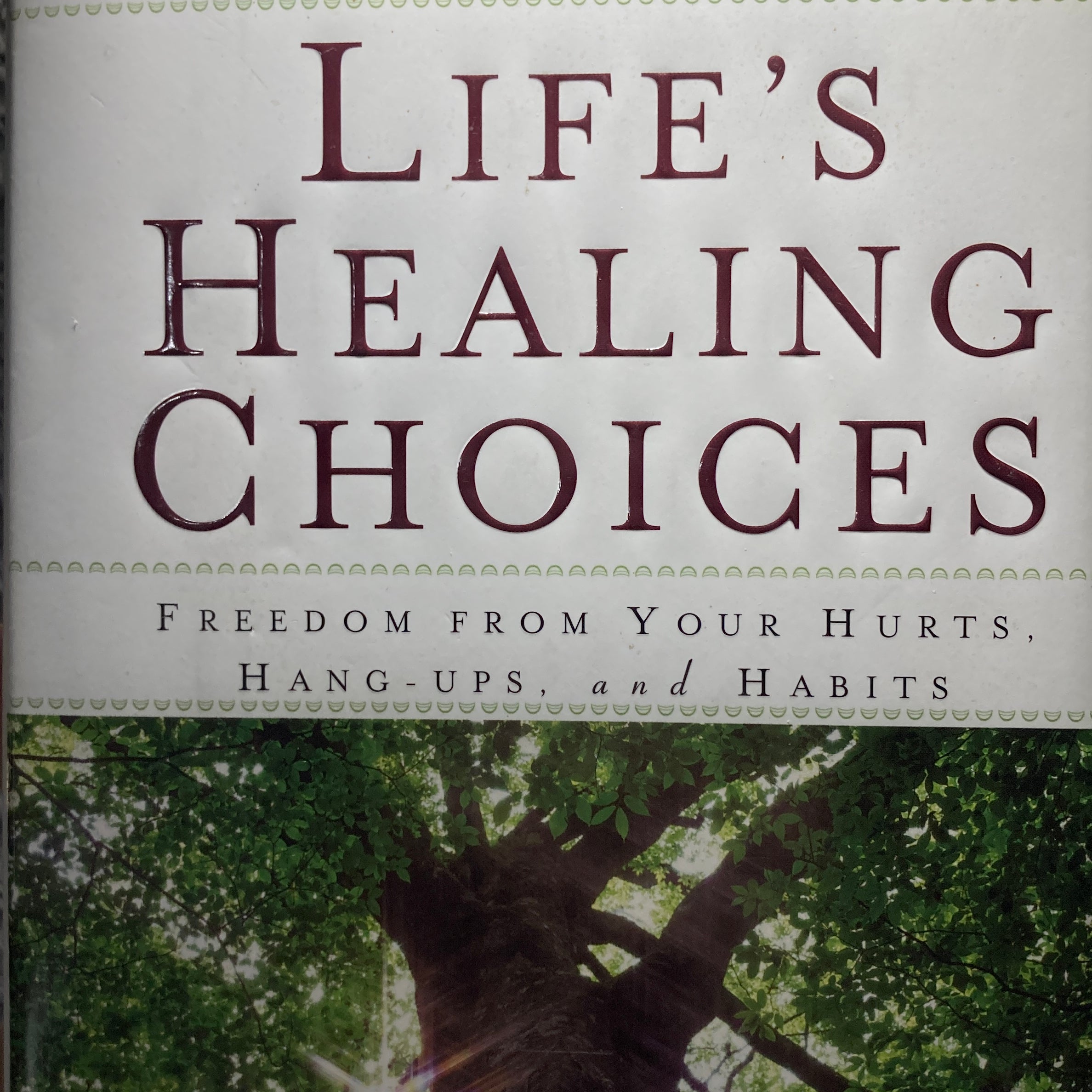 Life's Healing Choices