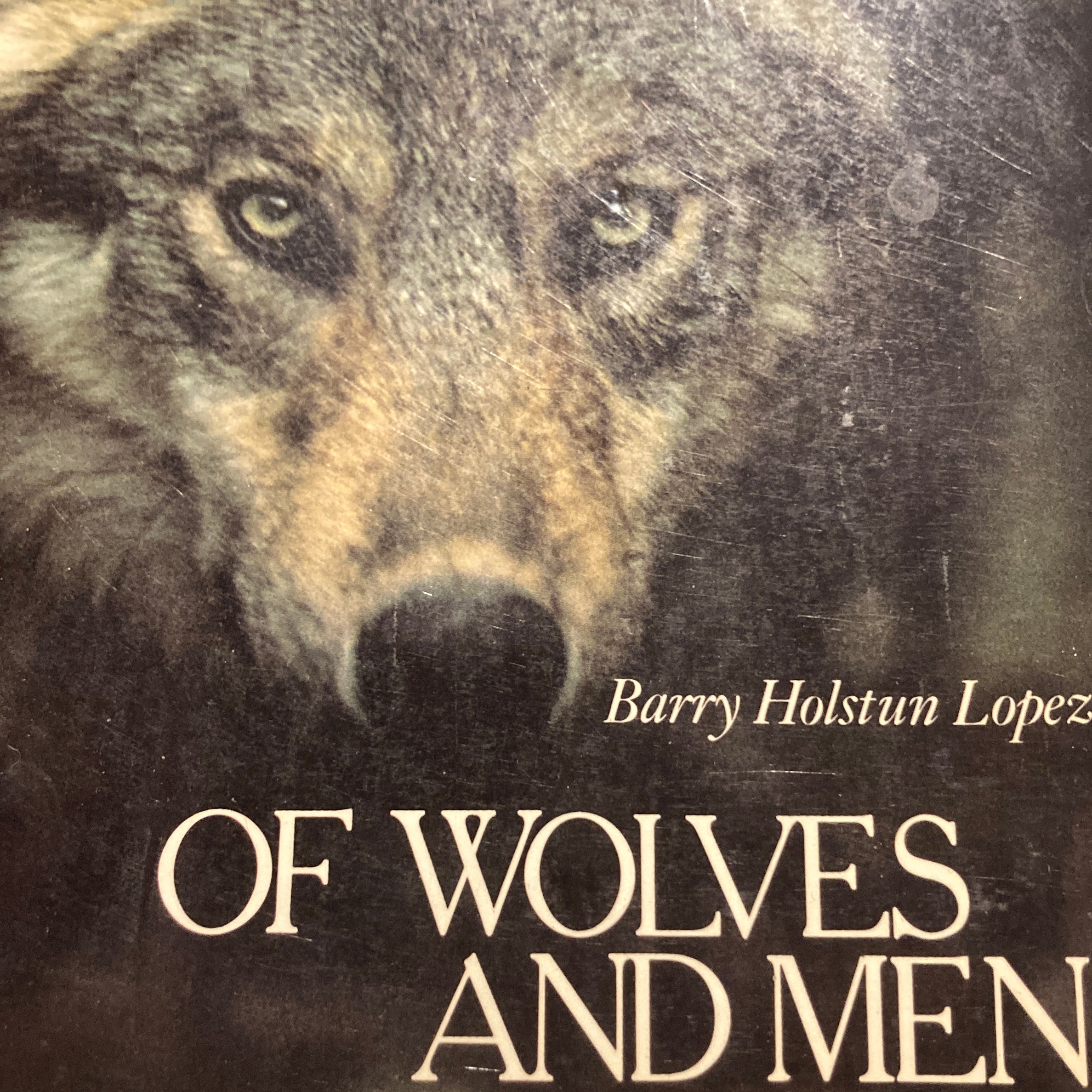 Of Wolves and Men