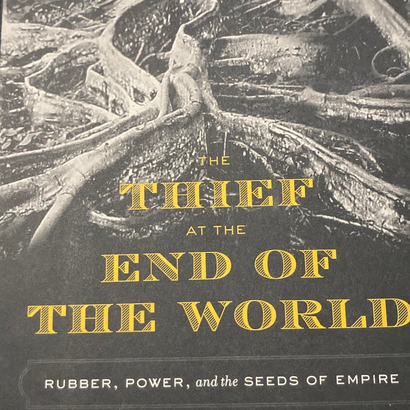 The Thief at the End of the World