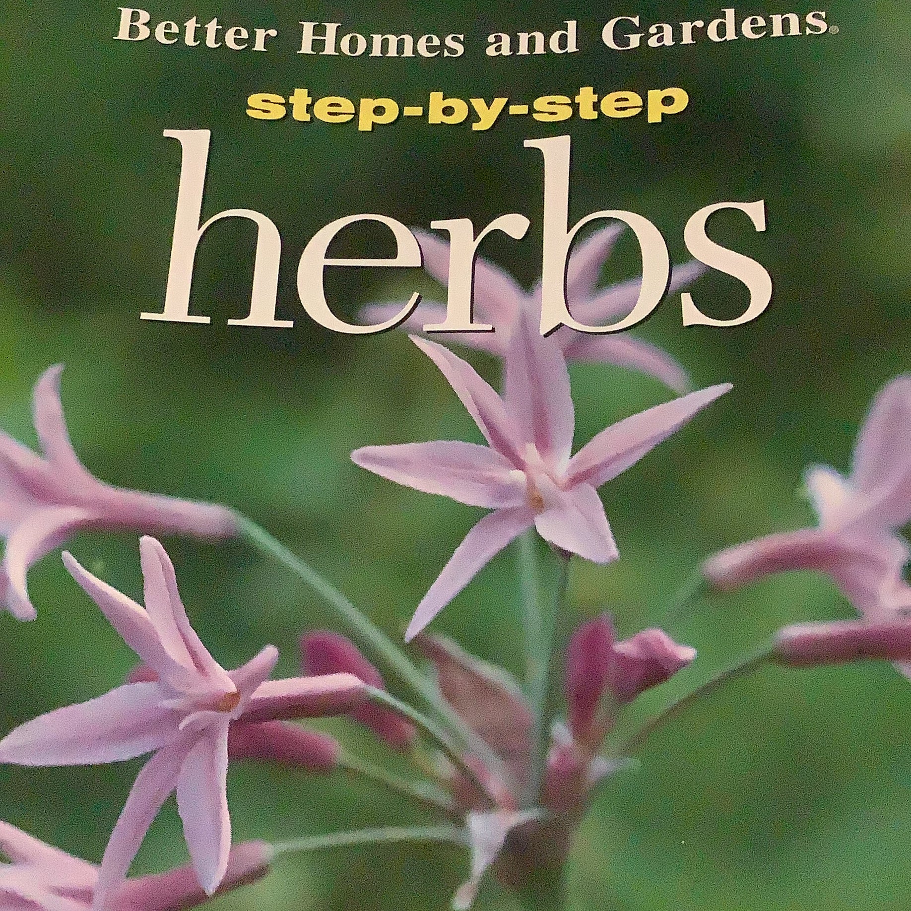 Step-by-Step Herbs