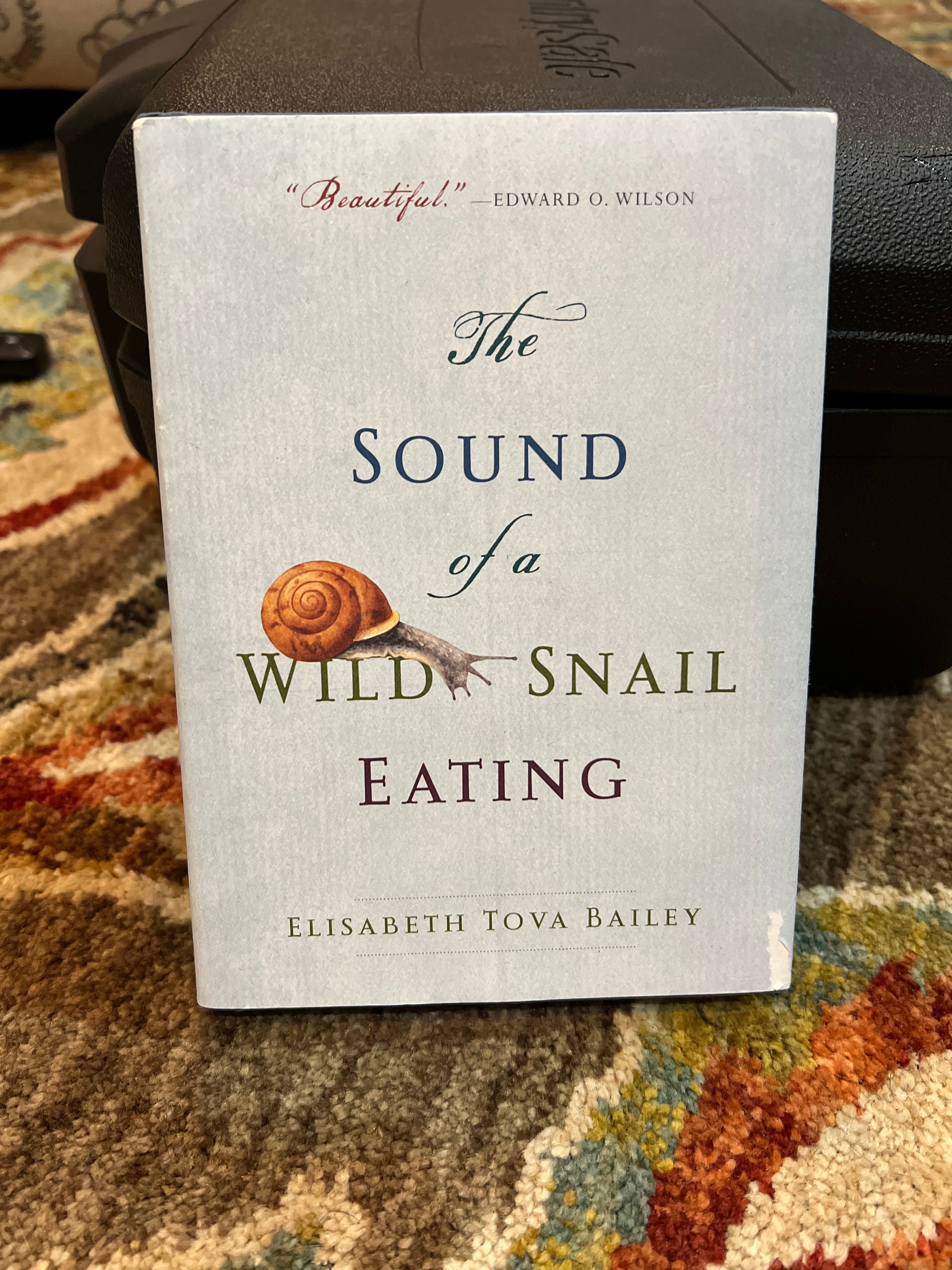 The Sound of a Wild Snail Eating