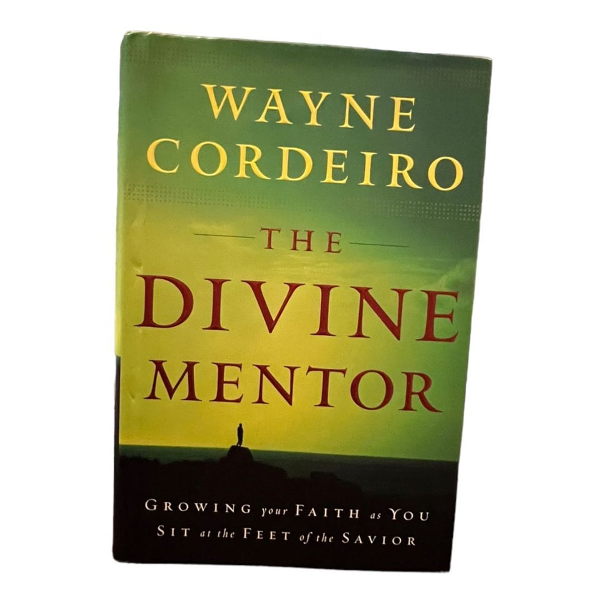 The Divine Mentor by Wayne Cordeiro
