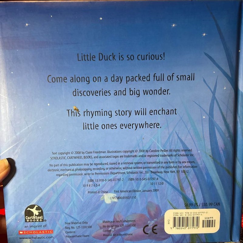 A Cuddle for Little Duck