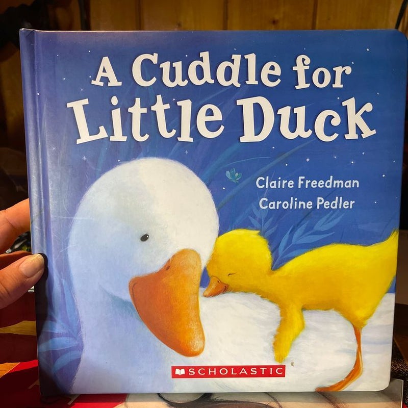 A Cuddle for Little Duck