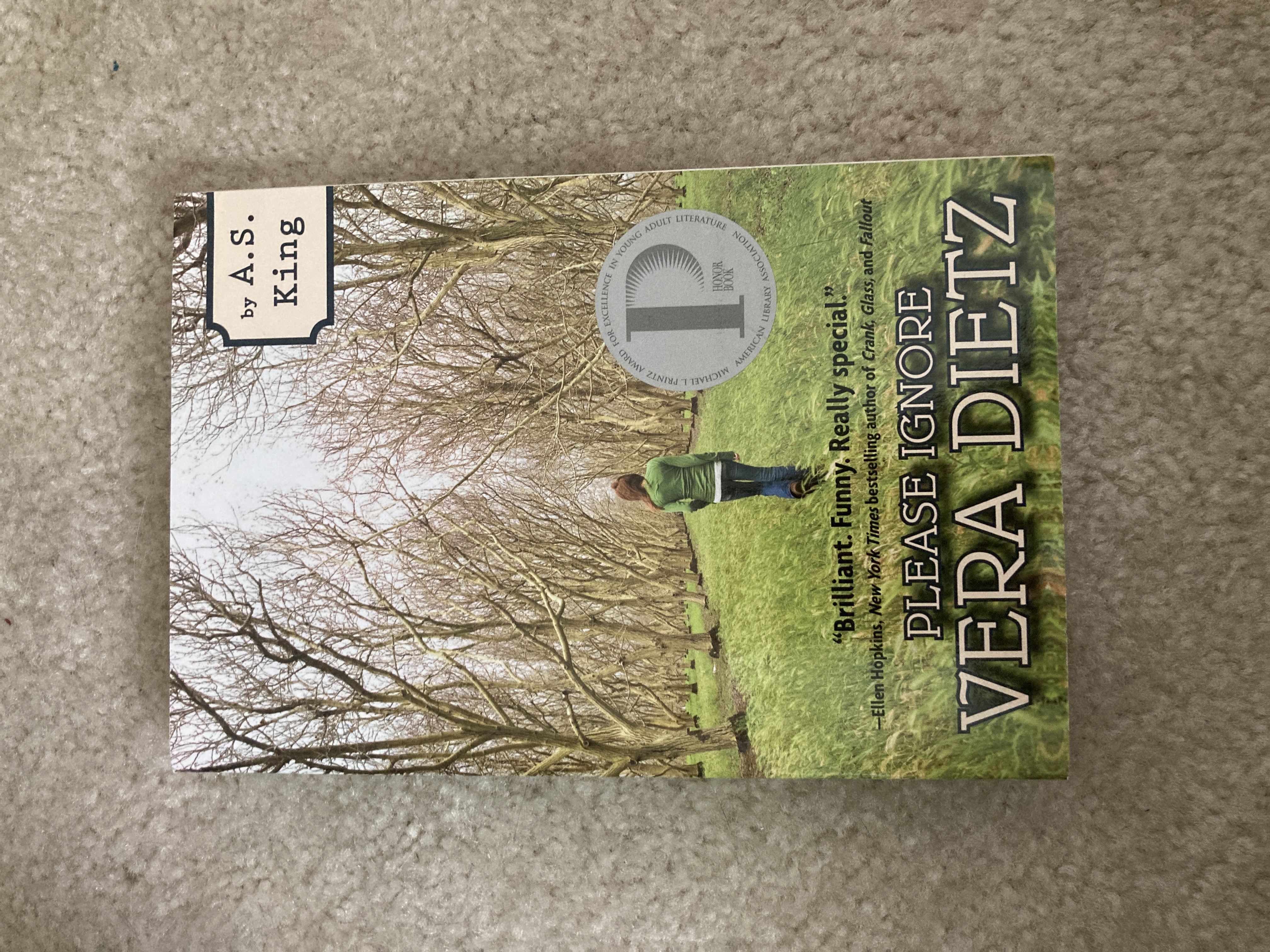 Please Ignore Vera Dietz