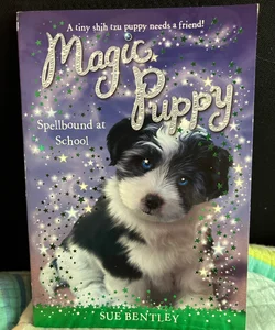 Magic Puppy spellbound at school