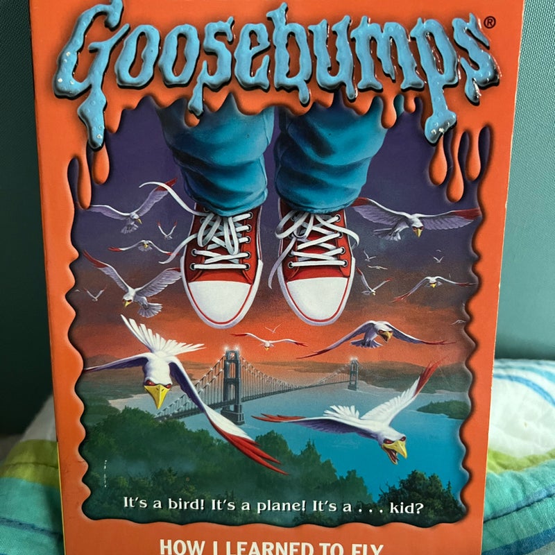 How I Learned to Fly