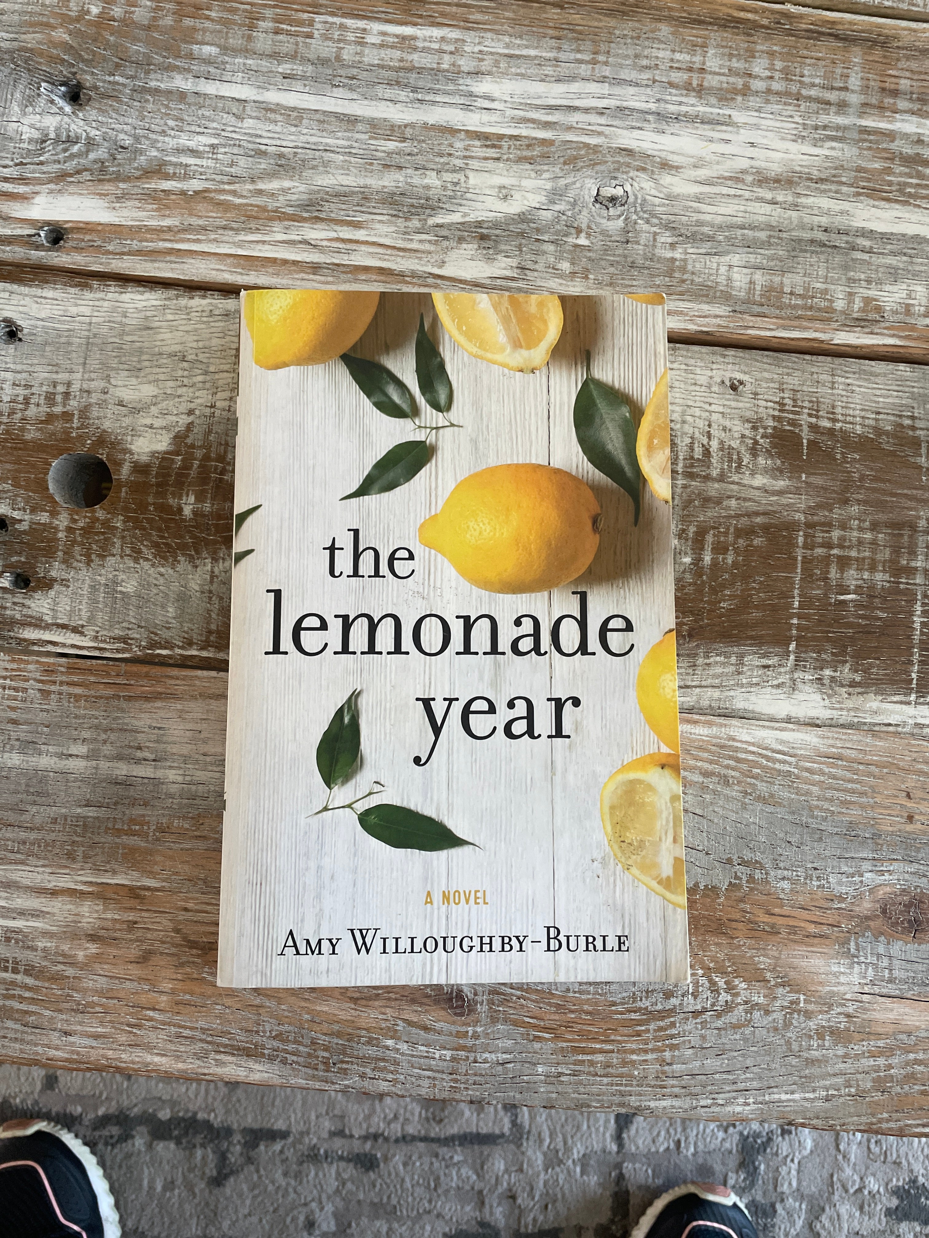 The Lemonade Year