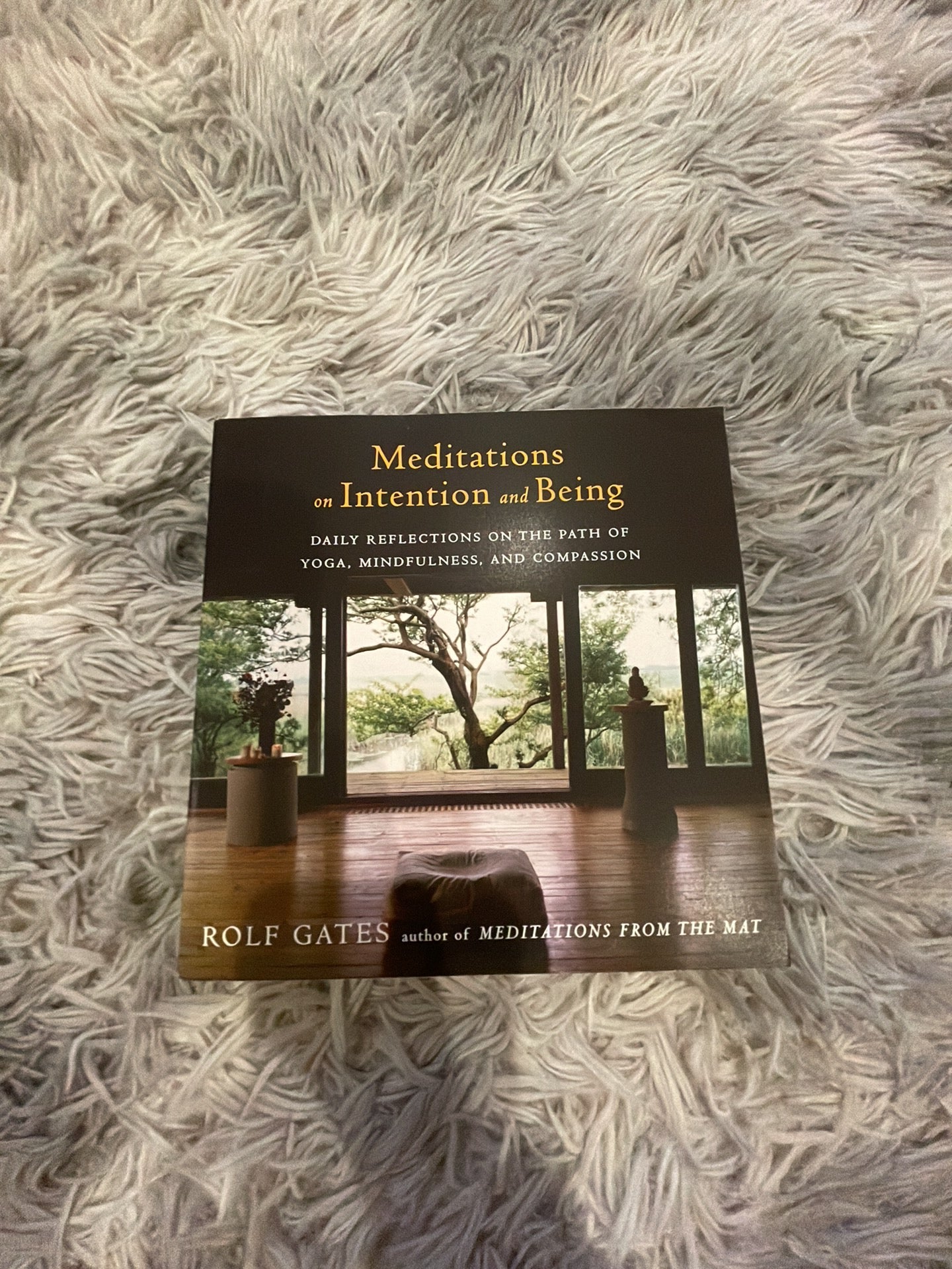 Meditations on Intention and Being