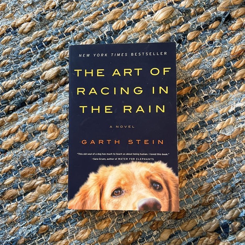 The Art of Racing in the Rain