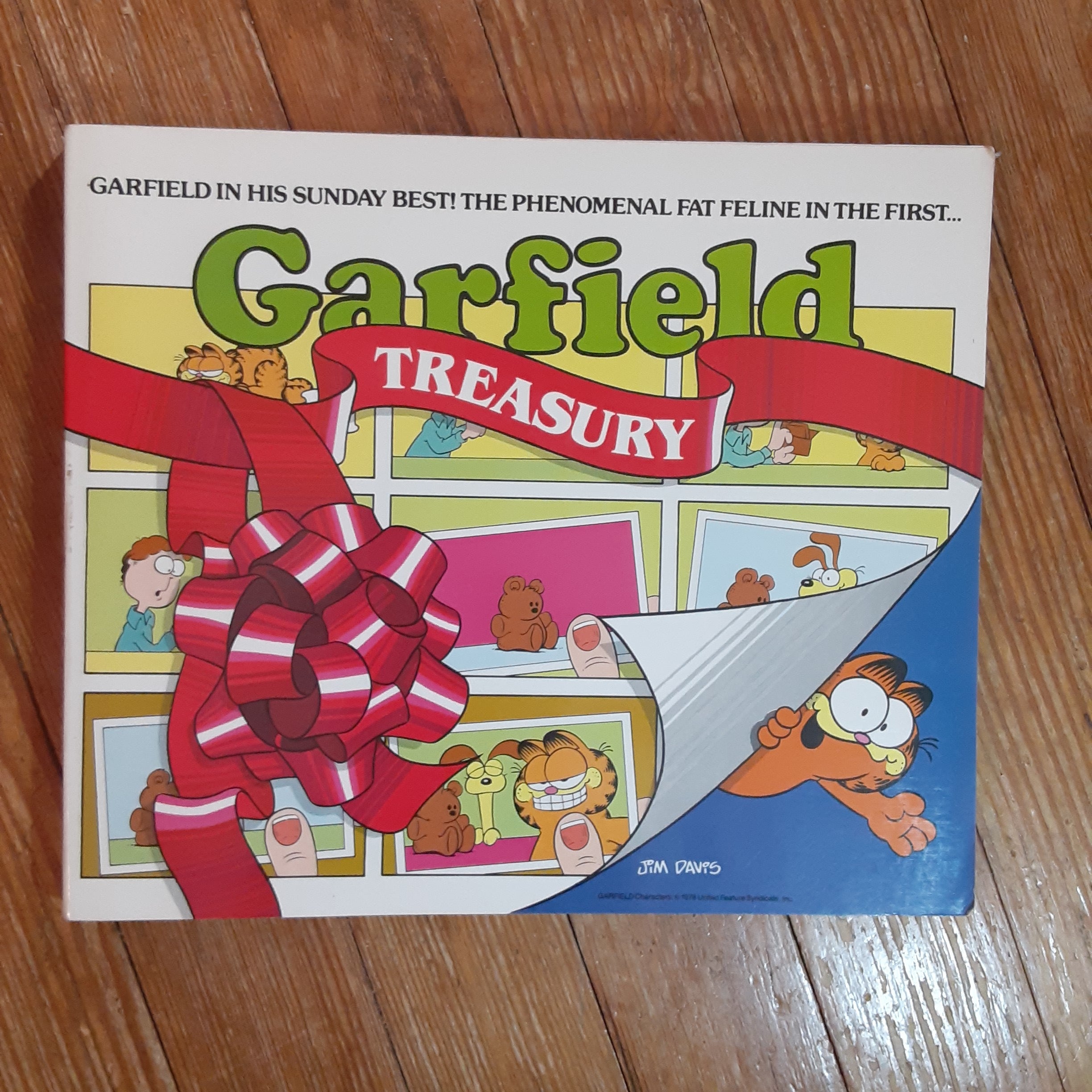 Garfield Treasury