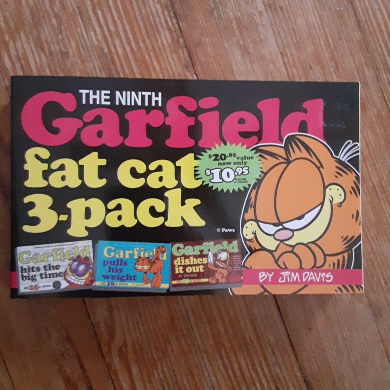 The Ninth Garfield Fat Cat