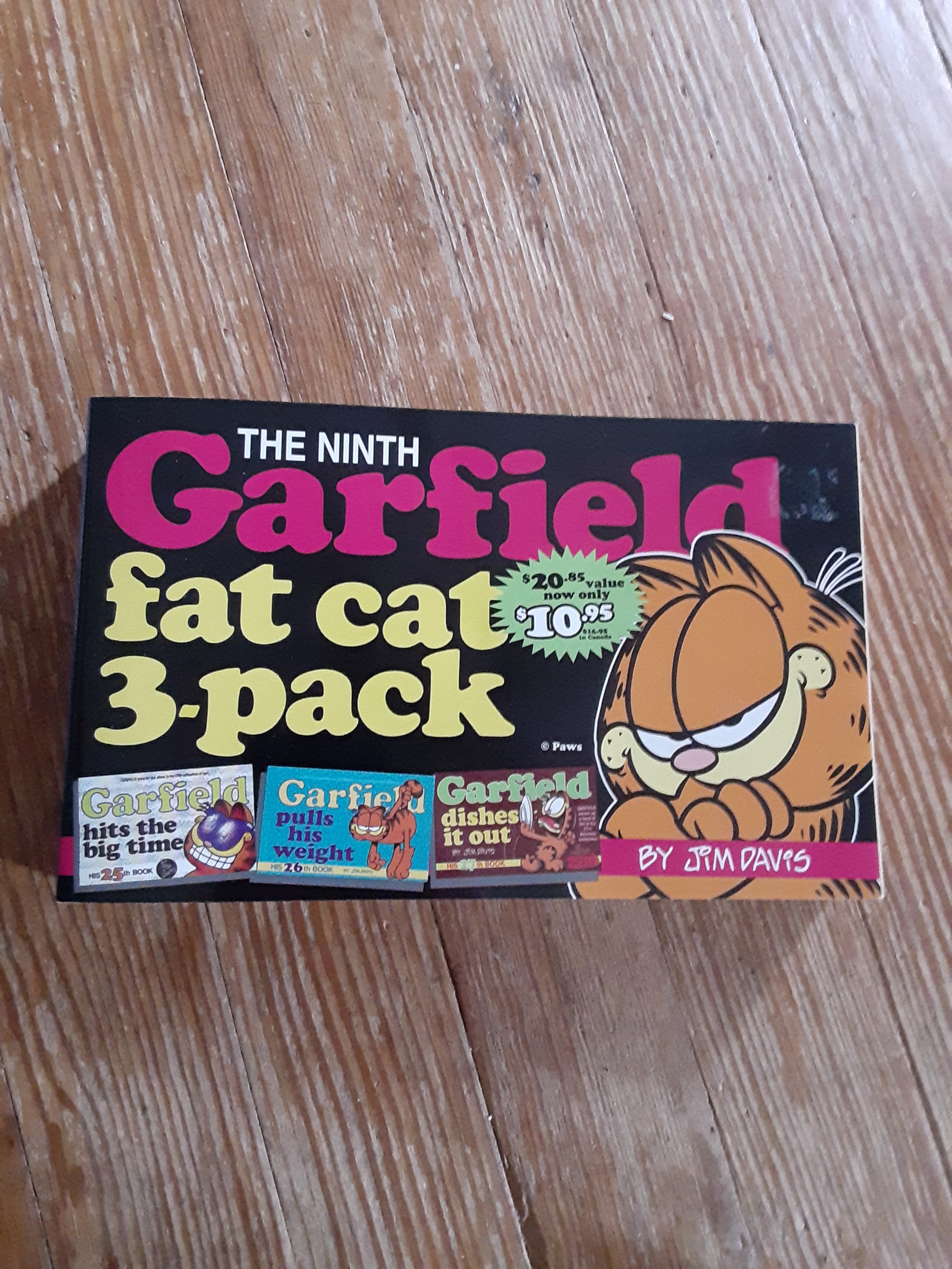 The Ninth Garfield Fat Cat