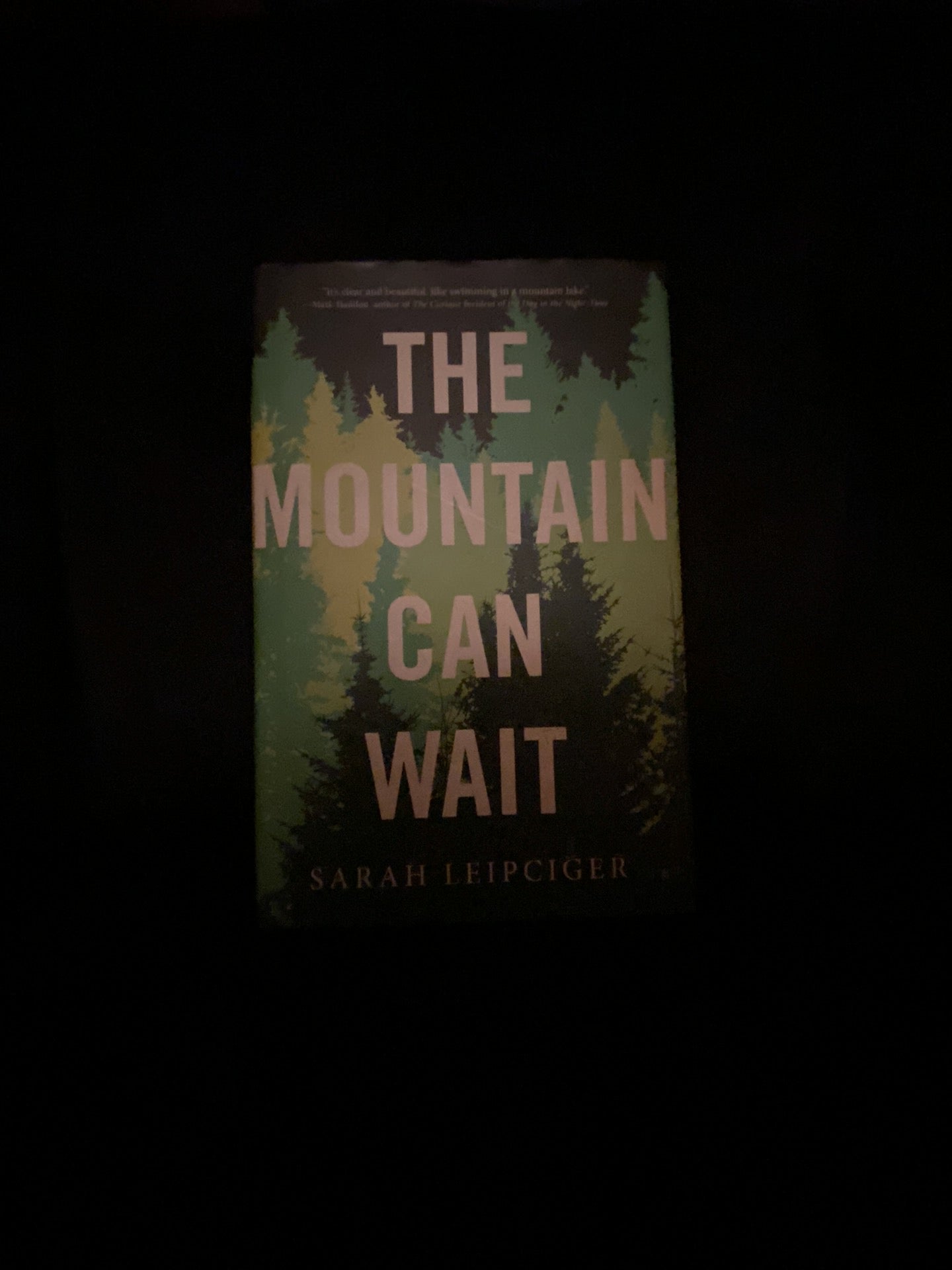 The Mountain Can Wait