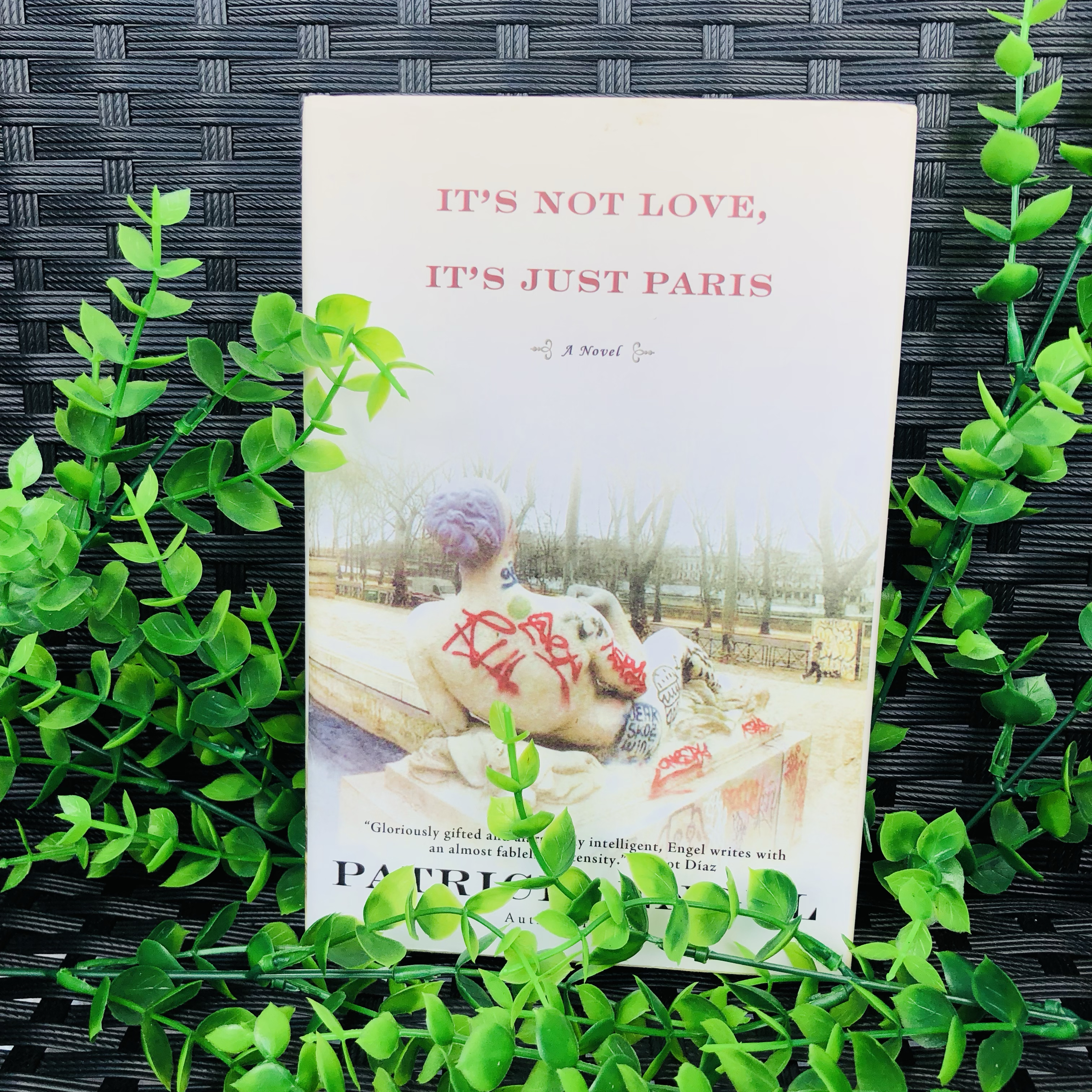 It's Not Love, It's Just Paris