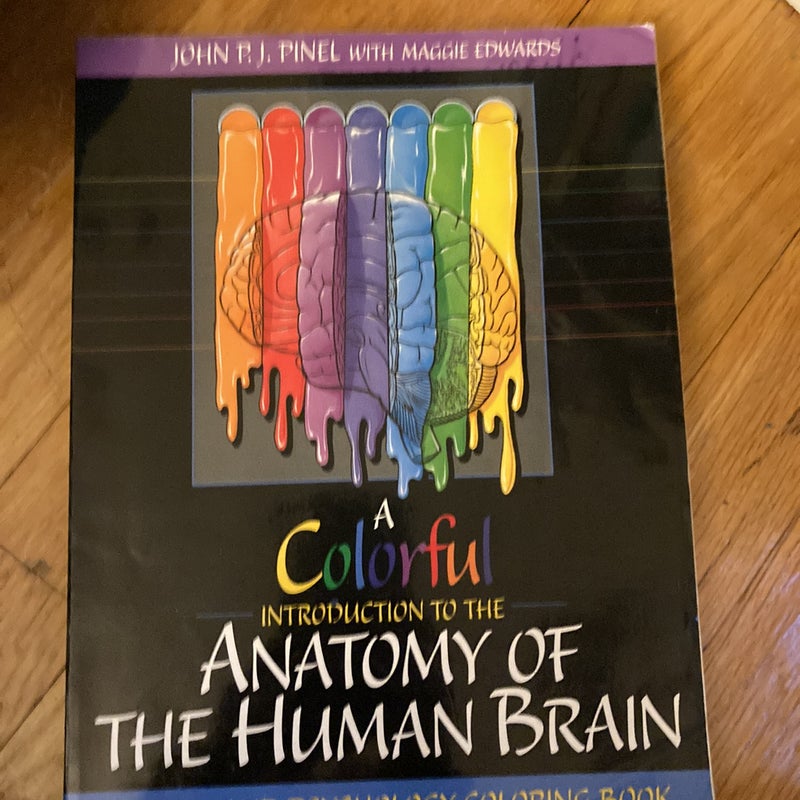 A Colorful Introduction to the Anatomy of the Human Brain