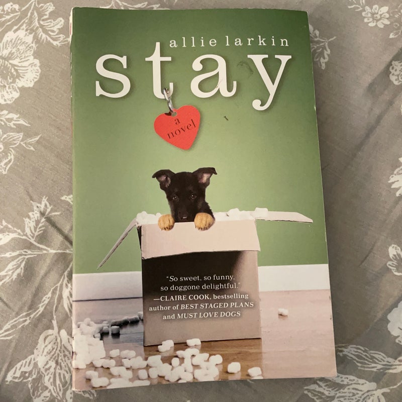 Stay