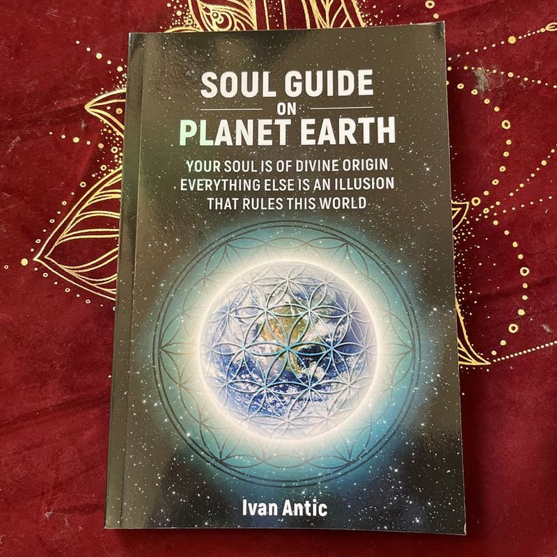 Soul Guide on Planet Earth