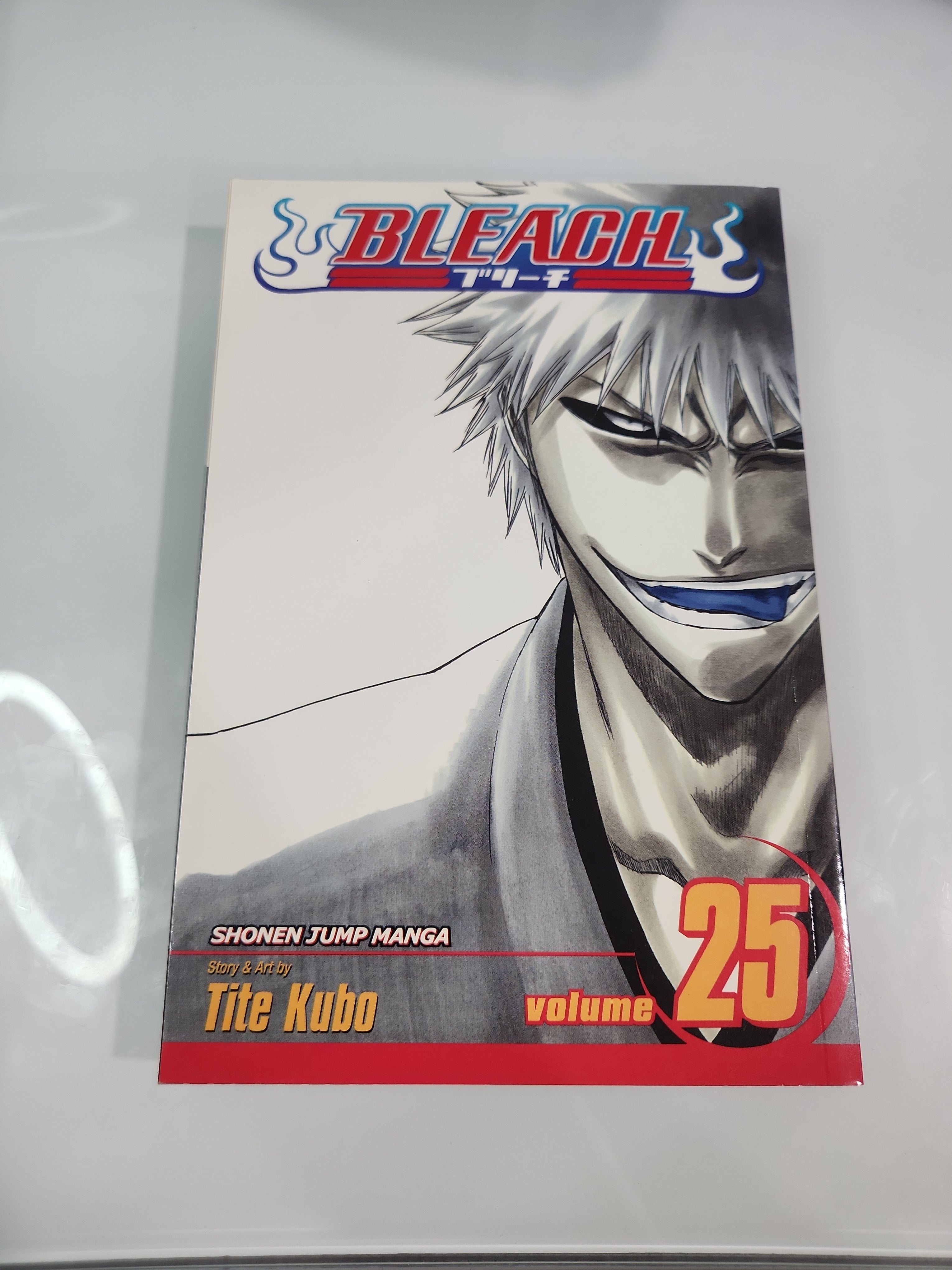 Bleach, Vol. 25