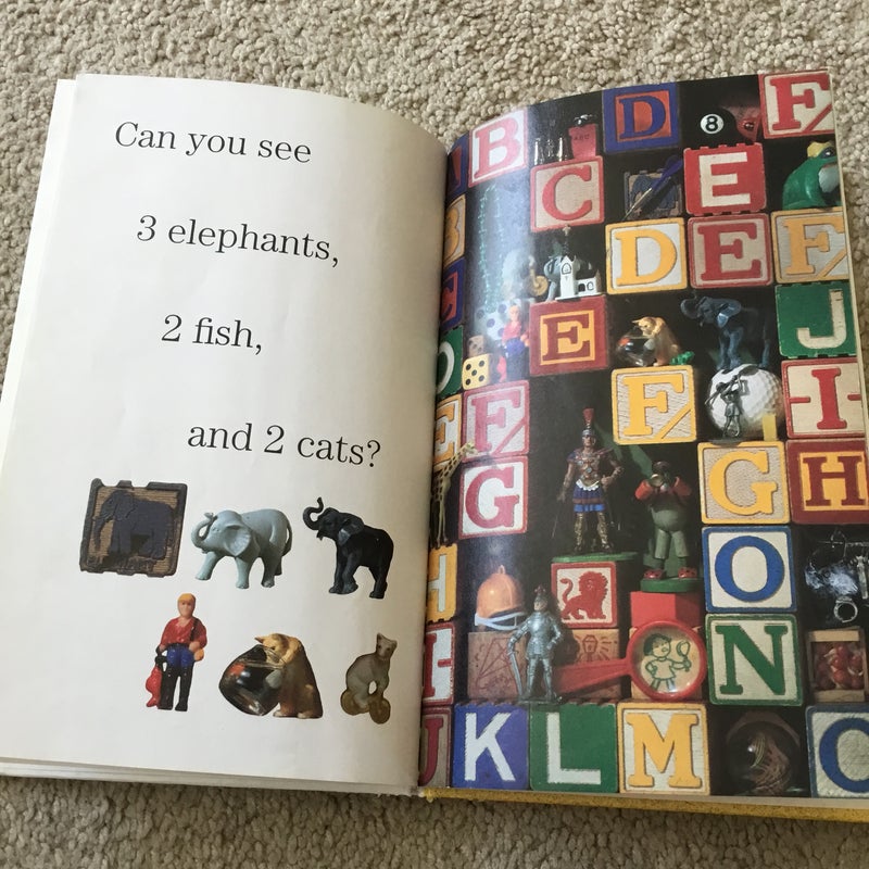 Can You See What I See?