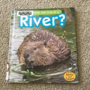 What Can Live in the River?
