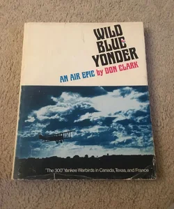 Wild Blue Yonder An Air Epic