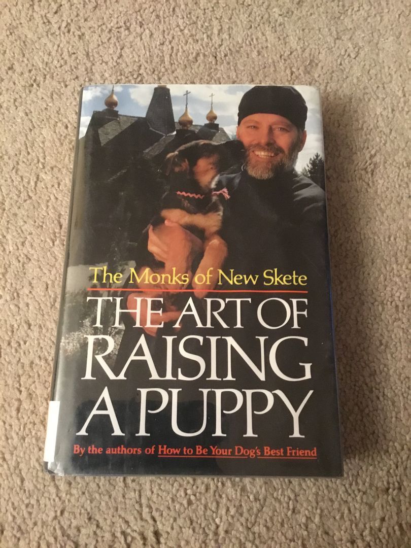 The Art of Raising a Puppy